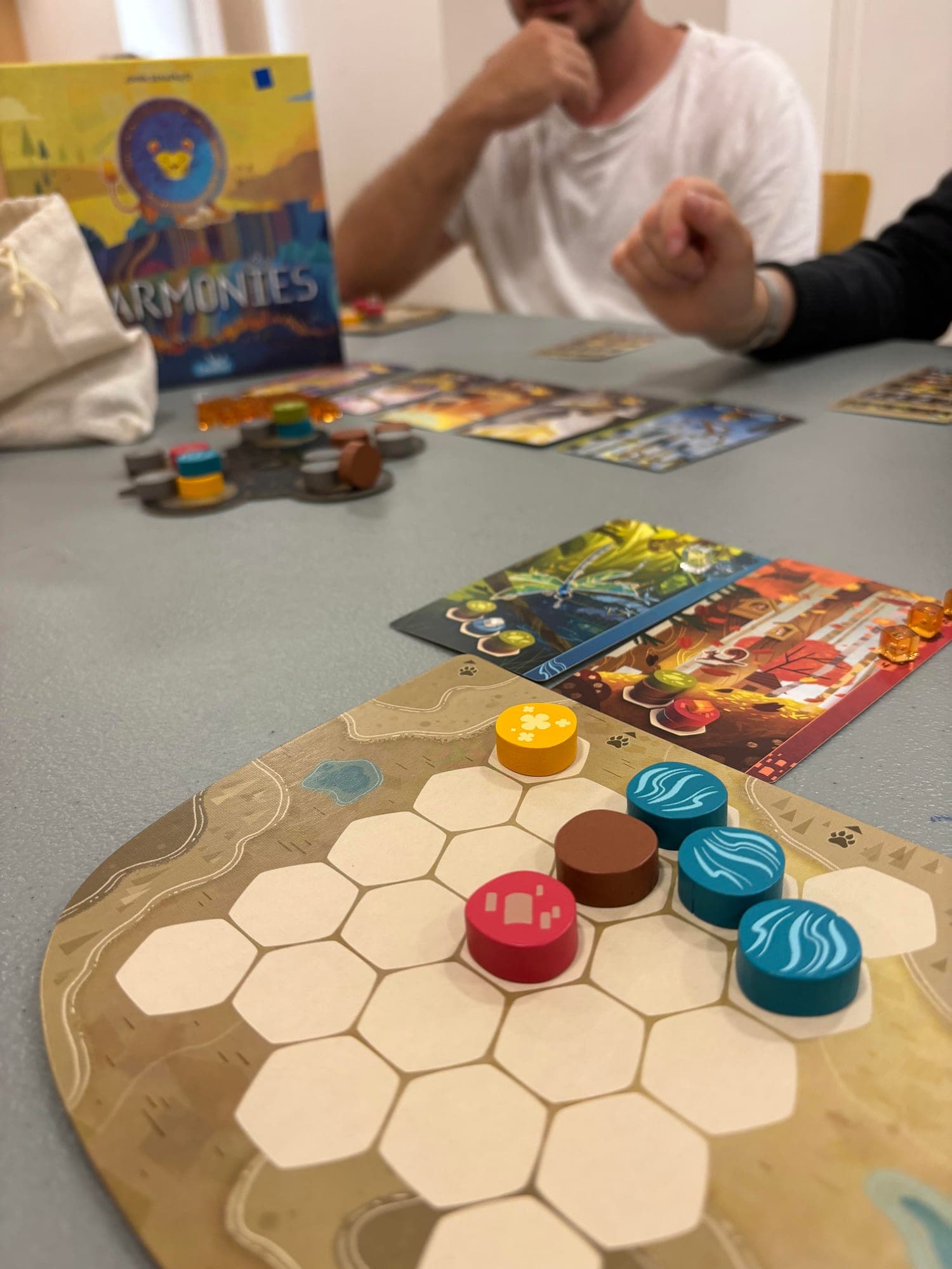 Soirée jeux de La Bulle Ludique à la Maison Tholosan, Bandol
